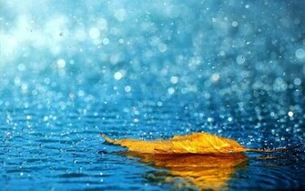 Monsoon Wallpaper