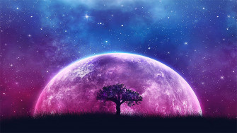 Df939a9cb83d0691bf39acc35ef73af9 Wallpaper