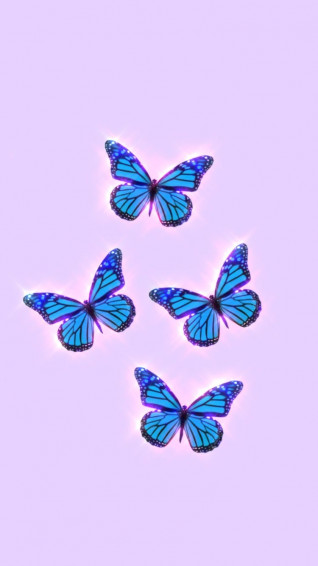 Butterfly Aesthetic Wallpaper