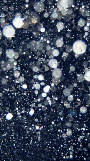 Dark Glitter Bokeh Wallpaper iPhone