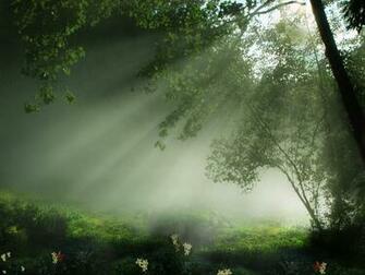 Beautiful Nature