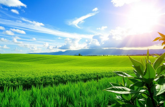 Windows Live Weather Wallpaper