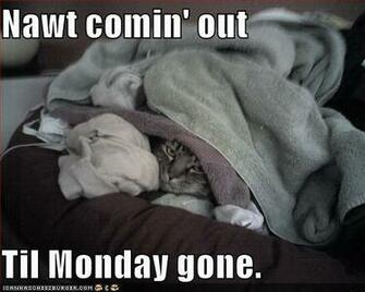 Happy Monday Funny Pictures