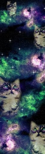 Space Cat Background Galaxy Box Background By