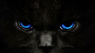 Animals Blue Eyes Cats Awesome Desktop HD Wallpaper