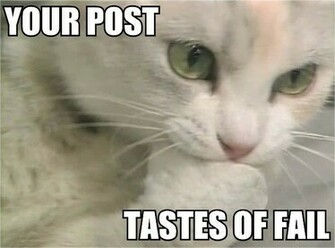 Lolcats Wide Wallpaper