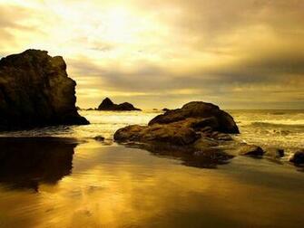 The Cat Sunset Beach Wallpaper For Desktop Background