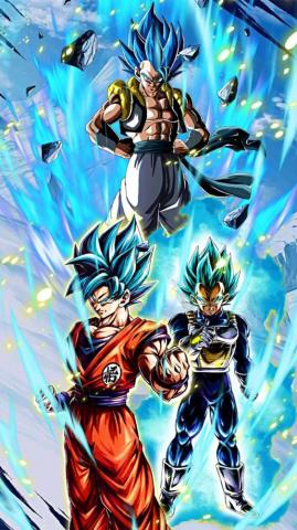 Ssb Goku And Vegeta Wallpaper Anime Dragon Ball Super