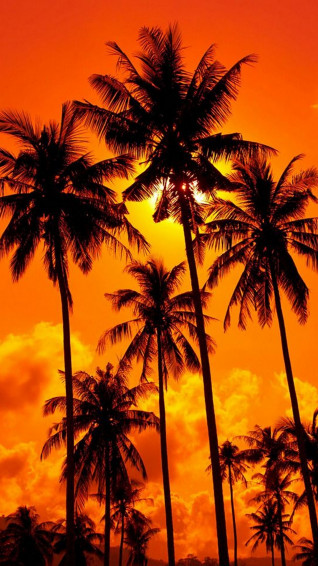 Orange Aesthetic iPhone Wallpaper Lock Screen