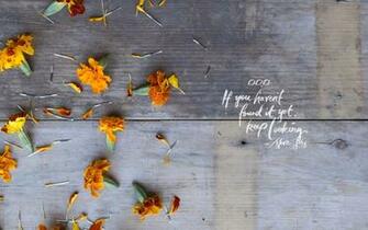 Up Your Screen Life Able Wallpaper Designs For Tech
