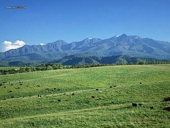 Beautiful Country Farm Scene Photography Perfect Wallpaper