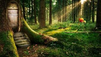Now Enchanted Forest HD Wallpaper 1080p Read Description