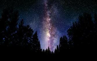 Wallpaper Milky Way Sky Night Stars Tree Forest Desktop