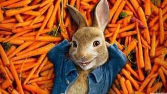 Peter Rabbit Movie 4k HD Desktop Wallpaper For Wide