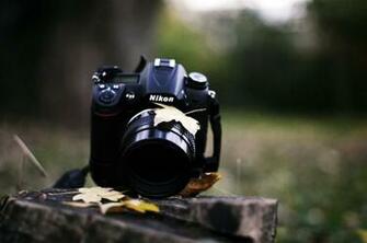 Noir Appareils Photo Nikon Moignon Feuilles For T Automne
