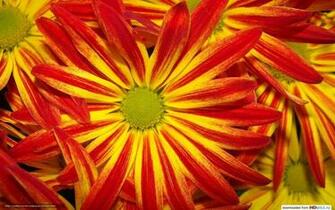 Wallpaper Bright Orange Yellow Red Desktop