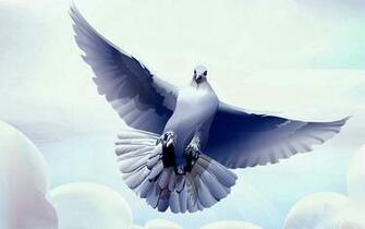 HD Wallpaper Dove Rabbit