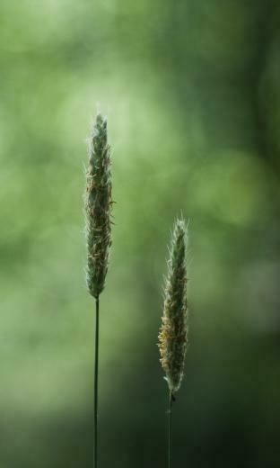 Best Blackberry HD Wallpaper