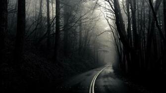 Into The Mist Wallpaper