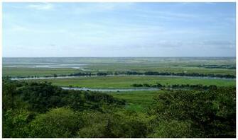 Angola Nature HD Windows Wallpaper