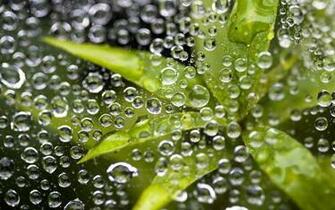 National Geographic April Daily Photos Magazine