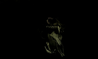 Dark Wolf Jobspapa