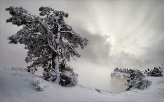 Source Url Wallippo Wallpaper My Winter Storm