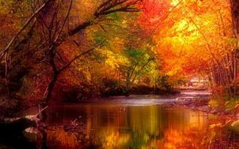 Best Collection Beautiful Nature Wallpaper