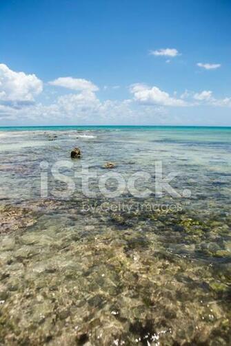Playa Del Carmen Mexico Stock Photos Image