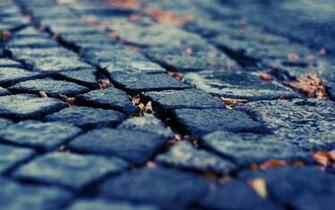 Wallpaper Pavement Depth Of Field Cobblestones Fallen Leaves