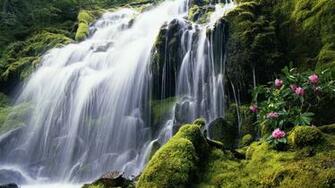 Windows Desktop Pc And Mac Wallpaper