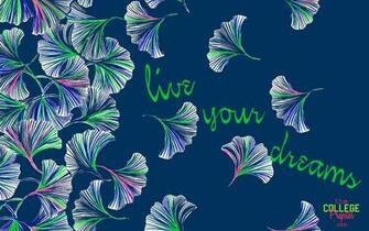 Lilly Pulitzer