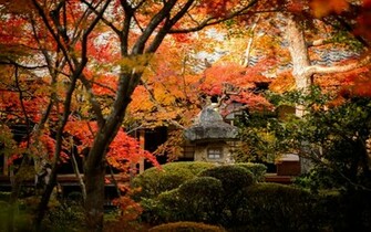 Beautiful Kyoto Wallpaper Px Wallsource