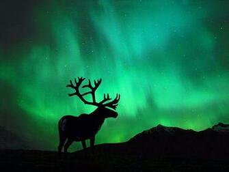 Arctic Climate Change Photos Wallpaper National Geographic