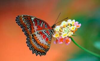 Previous Image Go Back To Heart Touching Wallpaper For Desktop