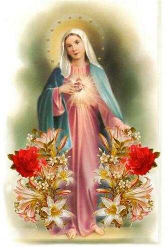 Best Immaculate Heart Of Mary Image
