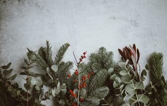 Christmas Wallpaper HD Hq