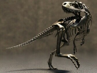 Read More T Rex Info