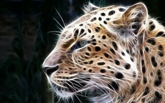 Apple Mac Os X Snow Leopard HD Wallpaper