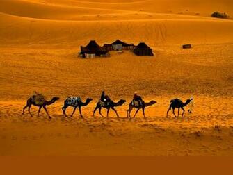 Desert Scene Wallpaper