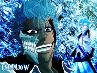Grimmjow Wallpaper Background Theme Desktop