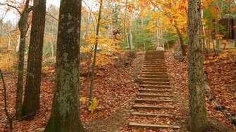Nature HD