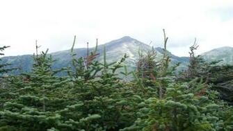 Mt Washington Auto Road Vues Wallpaper