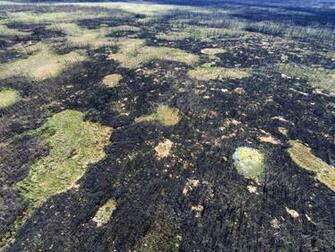 Cryospheric Sciences For Dummies How Do Wildfires Impact