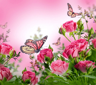 Butterflies Desktop Wallpaper