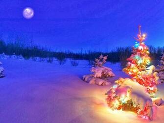 HD Wallpaper 4u 3d Christmas Tree For Desktop