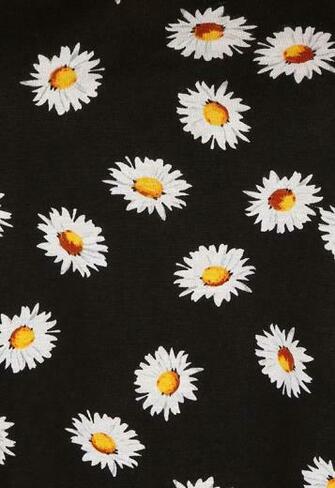 Daisy Background