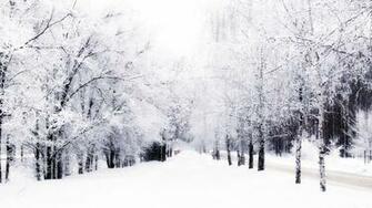 Winter Wallpaper Which Is Under The