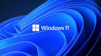 Windows Everything You Need To Know
