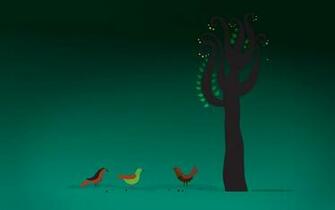 Screensavers Red Bird Desktop Wallpaper Birds Phone
